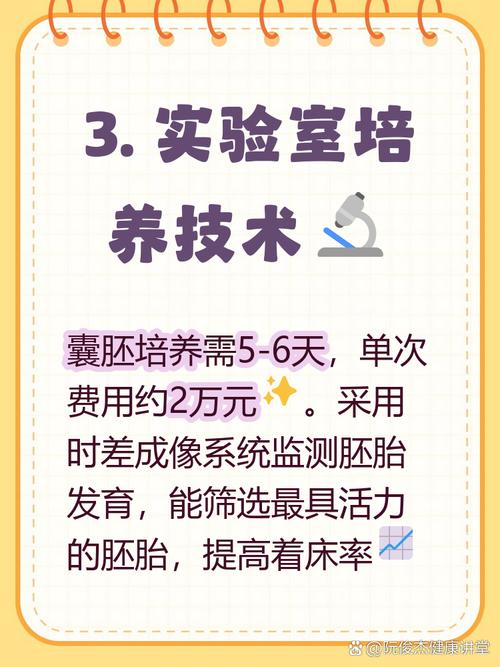 泰国第三代试管婴儿多少钱与翻译服务详解